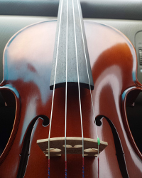 Violin.